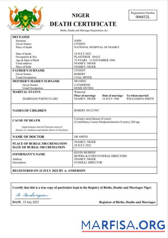 Downloadable Niger death certificate Word and PDF template
